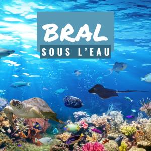 BRAL sous l'eau 2